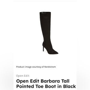 Open Edit Barbara Tall Pointed Toe Boot
